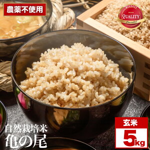 yӂ邳Ɣ[Łz ߘa8NY R͔| T̔  5kg |  R͔| _sgp  T̔  ̕   ͂ 쌧 ѓcs MB