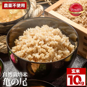 yӂ邳Ɣ[Łz ߘa8NY R͔| T̔  10kg |  R͔| _sgp  T̔  ̕   ͂ 쌧 ѓcs MB