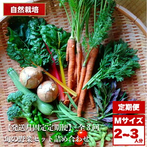 yӂ邳Ɣ[Łzy3ցz2026s\ R͔| {̖؃Zbg lߍ킹 MTCY 2`3l b  Zbg lߍ킹 R͔| _sgp { ₳ T_ ̂ꂽ Ƃꂽ VN