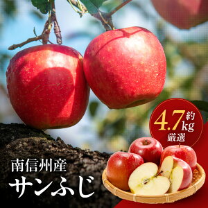 yӂ邳Ɣ[Łz MBY Tӂ 4.7kg | ʕ  t[c Tӂ  ь S 쌧 MB MB ѓcs H15