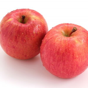 yӂ邳Ɣ[Łz MBY Tӂ 4.7kg | ʕ  t[c Tӂ  ь S 쌧 MB MB ѓcs H15