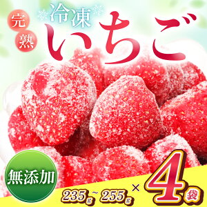 yӂ邳Ɣ[Łz Ⓚ MBY Ⓚ AvX C`S 235g`255g×4 | Ⓚ ʕ t[c   AvXC`S Ⓚ ̂ n ^Ⓚ  ^Cv X[W[ W