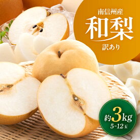 【ふるさと納税】南信州産 訳あり 和梨 約3kg 【2026年先行予約】| 果物 くだもの フルーツ和梨 梨 幸水 豊水 南水 あきづき 訳あり わけあり 長野県 信州 南信州 飯田市 BE01