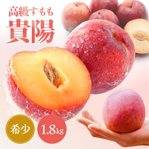 yӂ邳Ɣ[Łzy2026NstzMB ѓcY p  Mz 1.8kg ܂₷_ | ʕ  t[c  Mz W[V[ p 蕨 v[g 쌧 ѓc