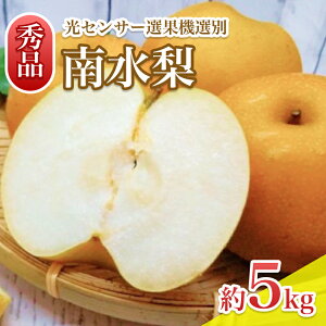 yӂ邳Ɣ[Łzy9{甭\zMB܂̃W[V[ŊÂ@쐅@5kg@ZT[I Gi | ʕ  t[c 쐅  Ȃ iV VN 쌧 MB MB 