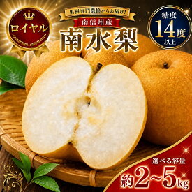 【ふるさと納税】【9月上旬から発送予定】南信州生まれのジューシーで甘い梨「南水梨」 糖度14.0以上 約2kg 約5kg | 果物 くだもの フルーツ 南水梨 梨 なし ナシ 新鮮 長野県 信州 南信州 飯田市 BI03 BI16