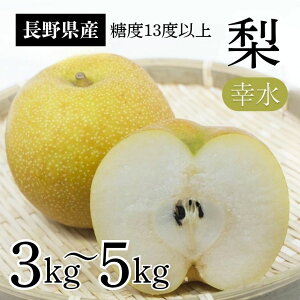 yӂ邳Ɣ[Łzy2026Ns\z K x13xȏyIׂeʁz3kg 5kg | ʕ  t[c K  Ȃ iV VN 쌧 MB MB ѓcs AR10 AR11