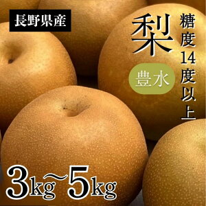 yӂ邳Ɣ[Łzy2026Ns\z L x14xȏyIׂeʁz3kg 5kg | ʕ  t[c L  Ȃ iV VN 쌧 MB MB ѓcs AR12 AR13