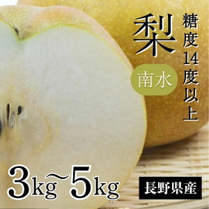 yӂ邳Ɣ[Łzy2026Ns\z 쐅 x14xȏyIׂeʁz3kg 5kg | ʕ  t[c 쐅  Ȃ iV VN 쌧 MB MB ѓcs AR14 AR15