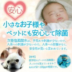 【ふるさと納税】 次亜塩素酸水 除菌 セット ( 除菌スプレー 1本 ・ 除菌剤 100包入 ) | 除菌 消臭 遊離残留塩素 希釈タイプ 簡単 経済的 国内製造 信州 長野県 飯田市