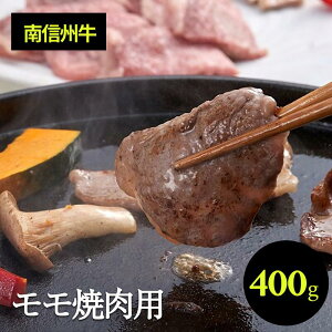 yӂ邳Ɣ[Łz  ē  MB  ē p 400g | Ăp    ē Ă   MB MB  ӂ邳Ɣ[ 쌧 ѓcs J02