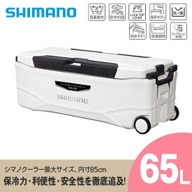 【ふるさと納税】シマノ スペーザ ホエール ベイシス 65L (ピュアホワイト) クーラーボックス | シマノ クーラーボックス アウトドア 保冷 クーラー 釣り キャンプ 信州 南信州 送料無料 ふるさと納税 長野県 飯田市 AQ16