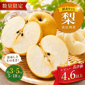 【ふるさと納税】南信州産 訳あり 梨 選べる容量 約3～5kg 【2026年2026年8月中旬～9月下旬発送】| 果物 くだもの フルーツ 和梨 梨 幸水 豊水 南水 あきづき 訳あり わけあり 長野県 信州 南信州 飯田市 BE01