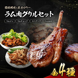 【ふるさと納税】ラム 肉 グリル セット | ジビエ 肉 にく ジンギス 羊 ラム 味付 味付け肉 簡単 便利 焼肉 炒め物 惣菜 おかず おつまみ セット 食べ比べ 冷凍 長野県 飯田市 信州