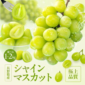 �y�ӂ邳�Ɣ[�Łz�y2026�N��s�\��z ��l�C! ���쌧�Y �V���C���}�X�J�b�g �G�i �y�I�ׂ�e�ʁz�q2026�N9�����{�`11����{�����r| �ʕ� �������� �t���[�c �Ԃǂ� �u�h�E ���� ���쌧 �M�B ��