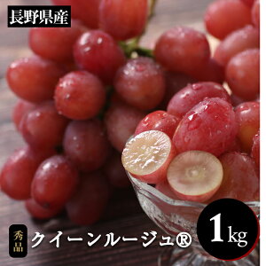 yӂ邳Ɣ[ŁzYnI! 쌧Y NC[[WR 1kg Gi q2025N10{`11{r | ʕ  t[c Ԃǂ uhE  NC[[WR Ȃ 쌧 MB 