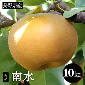 yӂ邳Ɣ[Łz iV 쐅 W[V[ Â  ! 쌧Y Ȃ 쐅 10kg Gi q2025N9{`10{r | ʕ  t[c  Ȃ 쐅 쌧 MB MB ѓcs B42