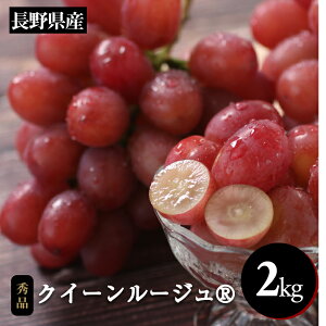 yӂ邳Ɣ[Łz YnI! 쌧Y NC[[WR 2kg Gi q2025N10{`11{r | ʕ  t[c Ԃǂ uhE  NC[[WR Ȃ 쌧 MB 