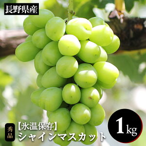 yӂ邳Ɣ[Łz Ԃǂ VC}XJbg X 쌧Y VC}XJbg 1kg Gi q2025N11{`12{r| ʕ  t[c VC}XJbg Ԃǂ uh