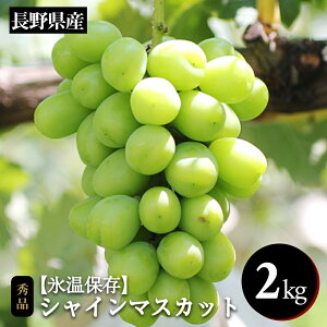 yӂ邳Ɣ[Łz Ԃǂ VC}XJbg X 쌧Y VC}XJbg 1kg Gi q2025N11{`12{r| ʕ  t[c VC}XJbg Ԃǂ uh