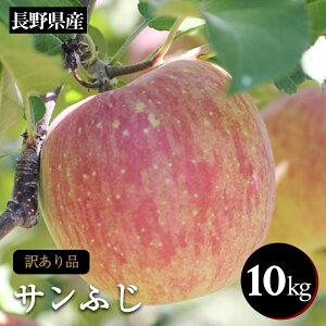 yӂ邳Ɣ[Łz 󂠂  Tӂ 󂠂i 쌧Y Tӂ 10kg 2026N1{`2{ | ʕ  t[c 󂠂 Tӂ TtW  S ь 쌧 