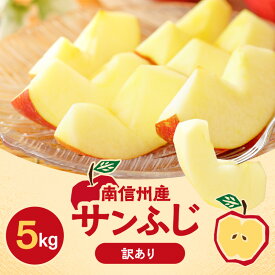 【ふるさと納税】 訳あり りんご サンふじ 訳あり品 長野県産 サンふじ 約5kg <2026年1月上旬~2月上旬発送> | 果物 くだもの フルーツ 訳あり サンふじ サンフジ りんご リンゴ 林檎 長野県 信州 南信州 飯田市 B48
