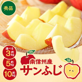 【ふるさと納税】【2026先行予約】人気の品種! 長野県産 りんご ( サンふじ ) 選べる容量 ＜2026年11月下旬〜12月中旬発送＞ | 果物 くだもの フルーツ りんご 林檎 リンゴ サンふじ 長野県 信州 南信州 飯田市 B17 B10 B34