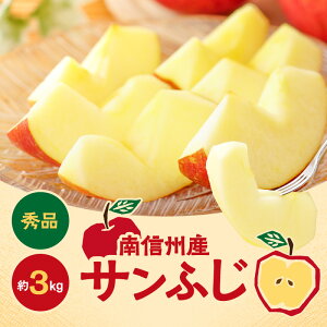 【ふるさと納税】人気の品種!長野県産りんご(サンふじ) 約3kg 秀品<2025年11月下旬〜12月中旬発送> | 果物 くだもの フルーツ りんご 林檎 リンゴ サンふじ 長野県 信州 南信州 飯田市 B17