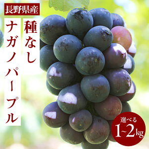 yӂ邳Ɣ[Łzy2026N\̔z炲OK! 쌧YEȂ iKmp[v Giq2026N8{`10{r | ʕ  t[c Ԃǂ uhE  iKmp[v Ȃ 