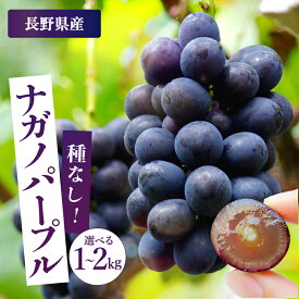 【ふるさと納税】皮ごとOK! 長野県産・種なし ナガノパープル 秀品 【選べる容量】〈2026年8月下旬～10月上旬発送〉 | 果物 くだもの フルーツ ぶどう ブドウ 葡萄 ナガノパープル 種なし 長野県 信州 南信州 飯田市