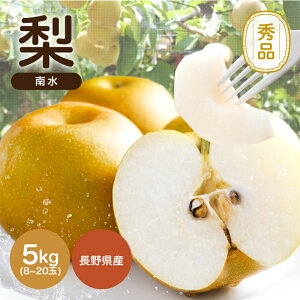 yӂ邳Ɣ[Łz  쐅 W[V[  Â  ! 쌧Y Ȃ 쐅 5kg Gi q2025N9{`10{r | ʕ  t[c  Ȃ 쐅 쌧 MB MB ѓcs B28