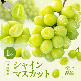 【ふるさと納税】【大人気!】長野県産・シャインマスカット(約1kg) 秀品〈2025年9月中旬〜11月上旬発送〉| 果物 くだもの フルーツ ぶどう ブドウ 葡萄 長野県 信州 南信州 飯田市 B32