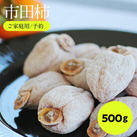 【ふるさと納税】信州の特産品「市田柿」ご家庭用 500g 〈2026年1月上旬〜2月下旬発送〉 | 果物 くだもの フルーツ 柿 かき 市田柿 干し柿 長野県 信州 南信州 飯田市 B05