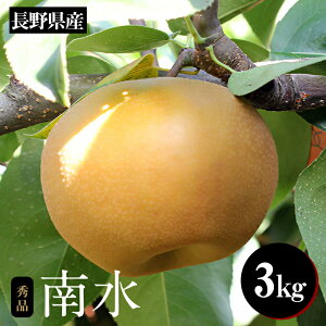 yӂ邳Ɣ[Łz  쐅 W[V[ŊÂ! 쌧Y Ȃ 쐅 3kg Gi q2025N9{`10{r| ʕ  t[c  Ȃ 쐅 쌧 MB MB ѓcs B11
