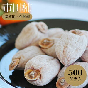 yӂ邳Ɣ[Łz MB  Yi sc` p ϔ 500g q2026N1{`1r| ʕ  t[c ` sc` ` p 쌧 MB MB ѓcs B12
