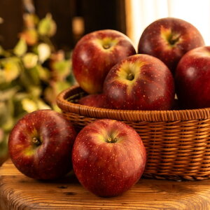 �y�ӂ邳�Ɣ[�Łz�y2026�N��s�\��z��M�B�Y �H�f �G�i ��5kg 10�`20�� JA�݂ȂݐM�BDM�Z���^�[�ѓc�s | �H�f ��� �ь� �����S �ʏ` �ʕ� �t���[�c �M�B ��M�B �������� �ӂ邳�Ɣ[�� ���쌧