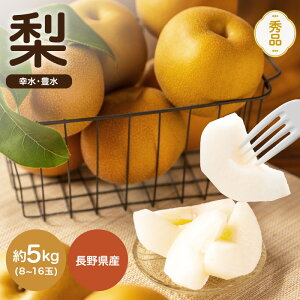 �y�ӂ邳�Ɣ[�Łz�y2026�N��s�\��z ��M�B�Y �K�� �܂��� �L�� �G�i ��5kg 8�`16�� JA�݂ȂݐM�BDM�Z���^�[�ѓc | �K�� �L�� �� �Ȃ� �i�V �ʕ� �t���[�c �W���[�V�[ �M�B ��M�B �������� �ӂ�