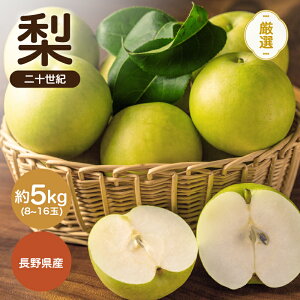 �y�ӂ邳�Ɣ[�Łz�y2026�N��s�\��z��\���I �G�i ��5kg 8�`16�� JA�݂ȂݐM�BDM�Z���^�[�ѓc�s | ��\���I ��\���I�� �� �i�V �Ȃ� �t���[�c �ʕ� �W���[�V�[ �M�B ��M�B �������� �ӂ邳��