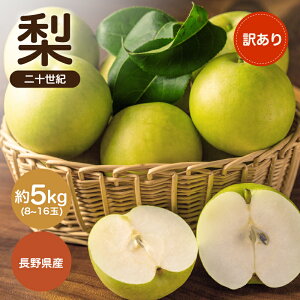 �y�ӂ邳�Ɣ[�Łz�y2026�N��s�\��z��M�B�Y ��\���I ��5kg �󂠂� 8�`16�� | ��\���I �� �Ȃ� �i�V �ʕ� �������� �t���[�c �M�B ��M�B �������� �ӂ邳�Ɣ[�� ���쌧 �ѓc�s K35