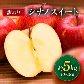 【ふるさと納税】【先行予約】 南信州産 シナノスイート 訳あり 約5kg 10〜18玉 JAみなみ信州DMセンター飯田市 | シナノスイート 林檎 りんご アップル つがる ふじ 果物 フルーツ 南信州 送料無料 ふるさと納税 長野県 飯田市 K13