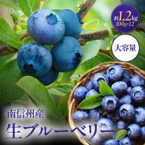 �y�ӂ邳�Ɣ[�Łz�y2026�N��s�\��z��M�B�Y ���u���[�x���[ ��100g × 12�p�b�N | ���u���[�x���[ �u���[�x���[ �ʕ� �������� �t���[�c �M�B ��M�B �������� �ӂ邳�Ɣ[�� ���쌧 �ѓc�s K37