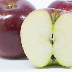 �y�ӂ邳�Ɣ[�Łz ��M�B�Y �V�i�m���b�v �G�i ��5kg 16�`20�� JA�݂ȂݐM�BDM�Z���^�[�ѓc�s | �V�i�m���b�v ��� �ь� �����S �ʕ� �t���[�c �ʏ` �M�B ��M�B �������� �ӂ邳�Ɣ[�� ���쌧