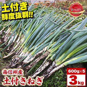 yӂ邳Ɣ[ŁzyMBYzyt˂@3kg(600g×5) JA݂ȂݐMBDMZ^[ѓcs | yt˂ ˂ lM  MB VN  ӂ邳Ɣ[ 쌧 ѓcs K11