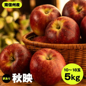 yӂ邳Ɣ[Łz MBY Hf 󂠂 5kg 10`18 JA݂ȂݐMBDMZ^[ѓcs | Hf  ь Abv H  ʕ t[c MB  ӂ邳Ɣ[ 쌧 ѓcs K14