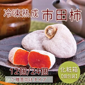 yӂ邳Ɣ[Łz Ⓚ n sc` 12 24yIׂeʁz | ` `  ʕ t[c  O Mtg v[g 蕨 yY Yi hCt[c `  