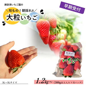 yӂ邳Ɣ[Łzy2026N1`2zuzK΂̑嗱v(300gȏ×4pbN) ^ zK΂  C`S  Hה ʕ 傫 e t { V[Y ǂ q