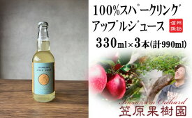 【ふるさと納税】100％スパークリングアップルジュース 3本入り(330ml×3本)／ 笠原果樹園 スパークリングアップルジュース 炭酸入り 炭酸 瓶 瓶詰め 長野県産 産地直送 ギフト プレゼント りんご リンゴ 林檎 アップル ジュース 信州 長野県 諏訪市 諏訪 【80-04】