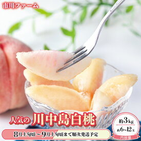 【ふるさと納税】人気の【川中島白桃】約3kg（約6～12玉）《市川ファーム》■2024年発送■※8月上旬頃～9月上旬頃まで順次発送予定 フルーツ 果物 桃 もも モモ 川中島白桃