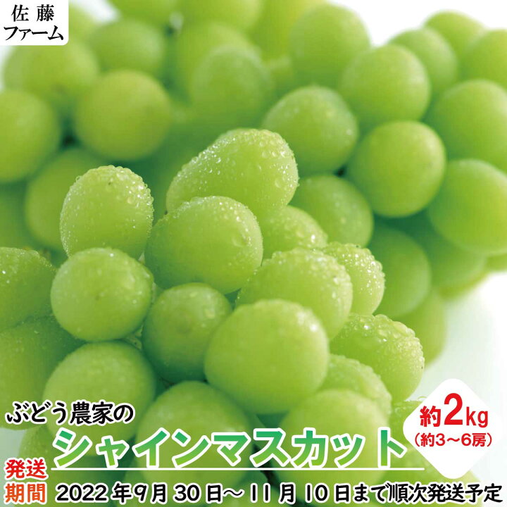 楽天市場 ふるさと納税 ぶどう農家のシャインマスカット 約２ｋｇ 約３ ６房 佐藤ファーム 22年発送 9月下旬頃 11月上旬頃まで順次発送予定 果物 ぶどう フルーツ 果物類 長野県須坂市