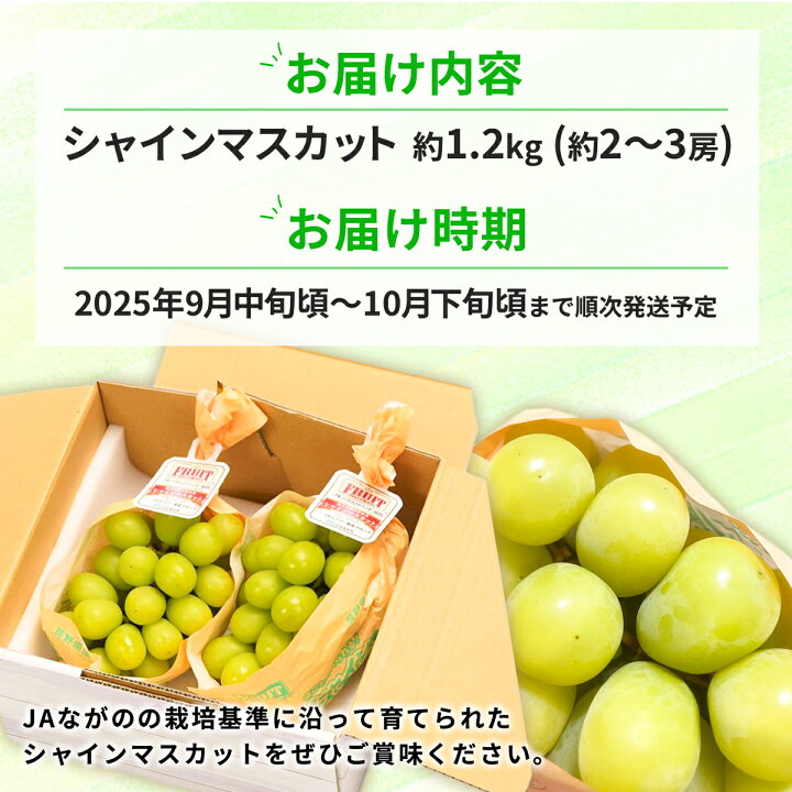 楽天市場】【ふるさと納税】シャインマスカット約1.2kg (約2～3房 